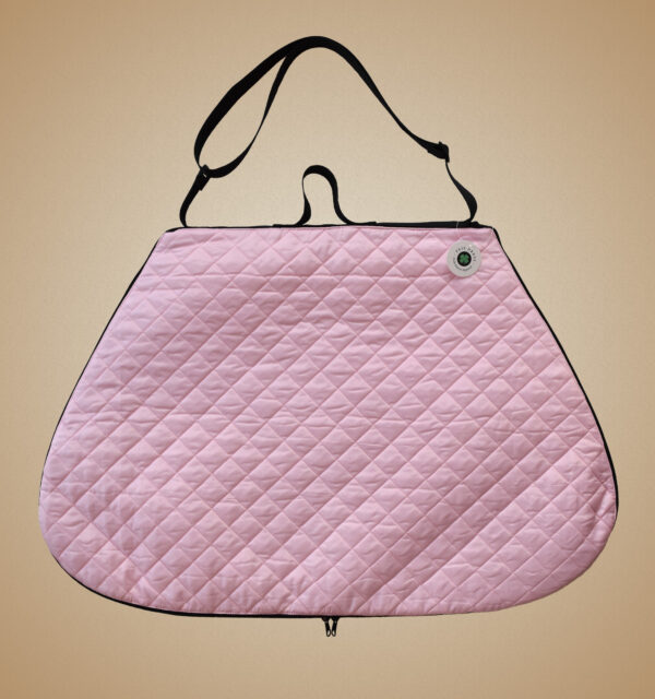 Feis Dress Large Pink Garment Dress Bag
