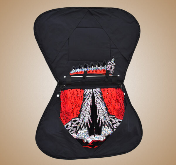 Feis Dress Bag with Dress