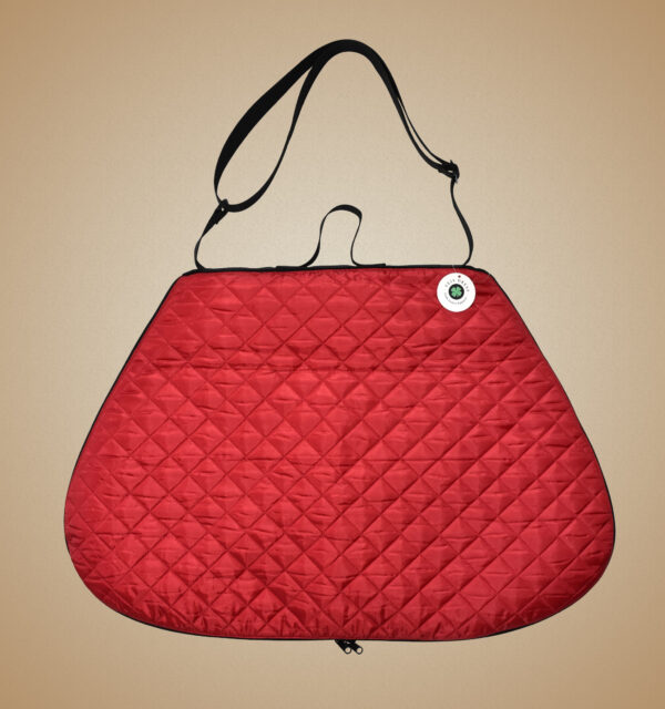 Feis Dress Red Dance Dress Bag